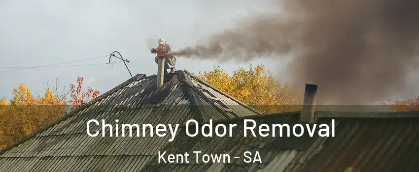 Chimney Odor Removal Kent Town - SA
