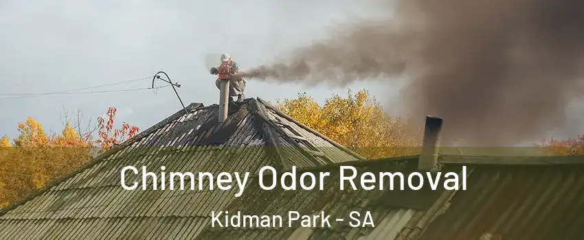 Chimney Odor Removal Kidman Park - SA