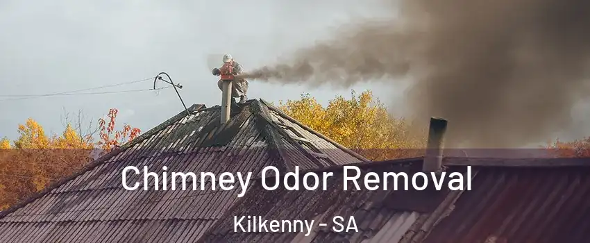 Chimney Odor Removal Kilkenny - SA