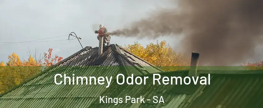 Chimney Odor Removal Kings Park - SA