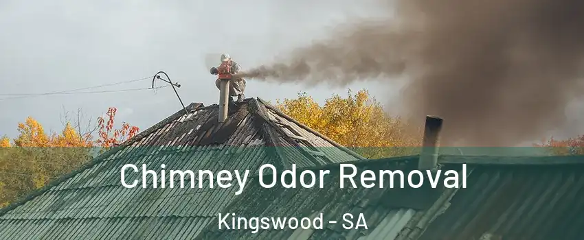 Chimney Odor Removal Kingswood - SA
