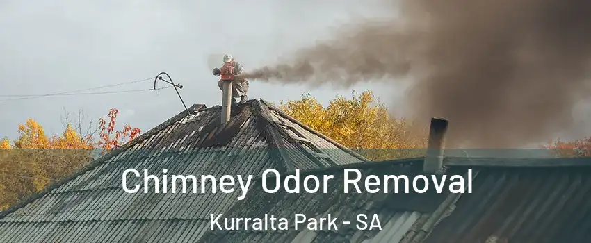 Chimney Odor Removal Kurralta Park - SA