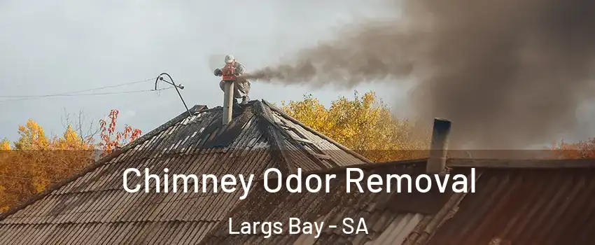 Chimney Odor Removal Largs Bay - SA