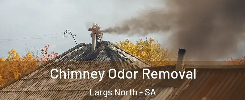 Chimney Odor Removal Largs North - SA