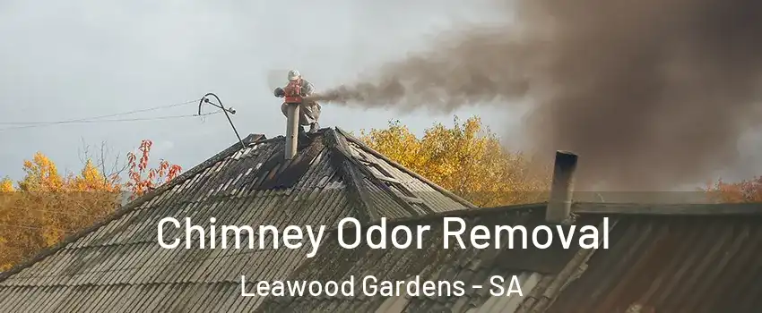 Chimney Odor Removal Leawood Gardens - SA