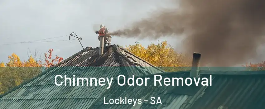 Chimney Odor Removal Lockleys - SA