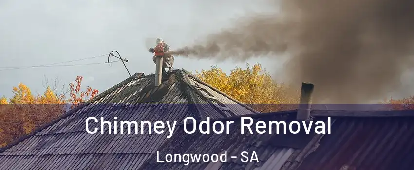 Chimney Odor Removal Longwood - SA