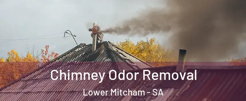 Chimney Odor Removal Lower Mitcham - SA