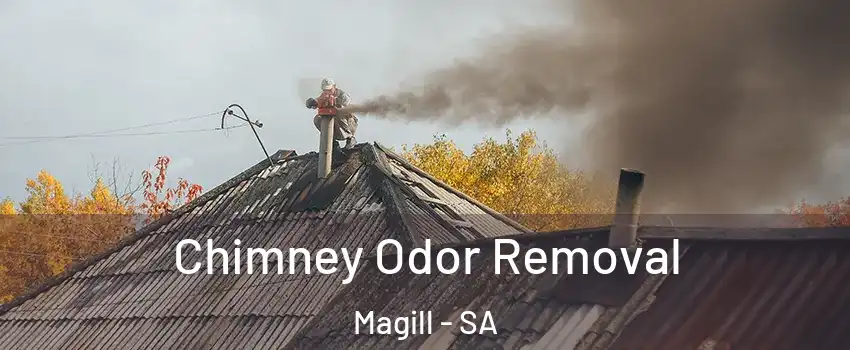 Chimney Odor Removal Magill - SA