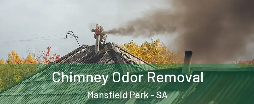 Chimney Odor Removal Mansfield Park - SA