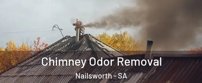 Chimney Odor Removal Nailsworth - SA