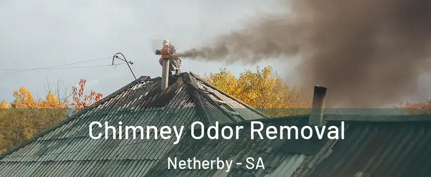 Chimney Odor Removal Netherby - SA