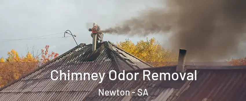 Chimney Odor Removal Newton - SA
