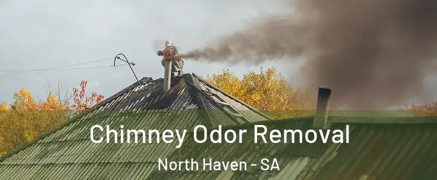 Chimney Odor Removal North Haven - SA