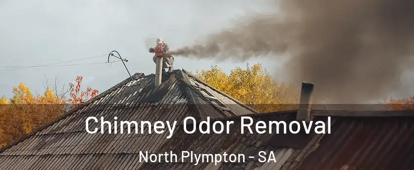 Chimney Odor Removal North Plympton - SA