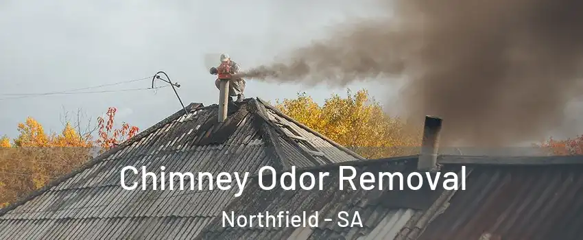 Chimney Odor Removal Northfield - SA