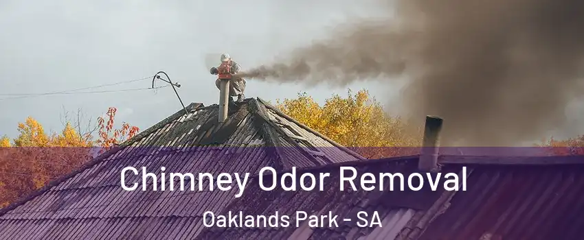 Chimney Odor Removal Oaklands Park - SA