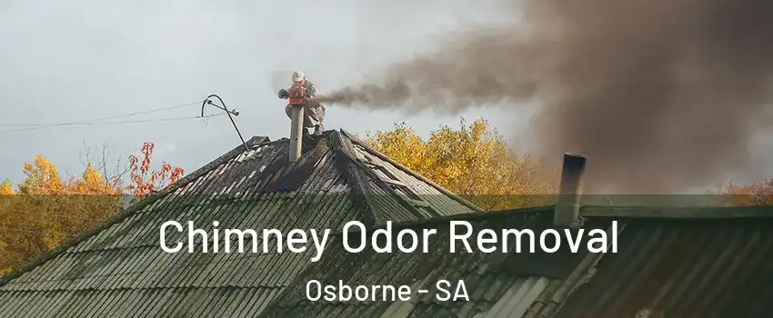 Chimney Odor Removal Osborne - SA