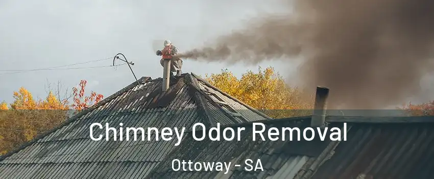 Chimney Odor Removal Ottoway - SA