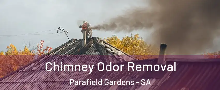 Chimney Odor Removal Parafield Gardens - SA