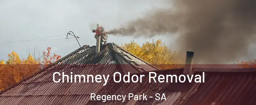 Chimney Odor Removal Regency Park - SA