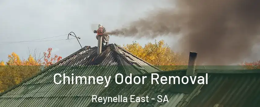 Chimney Odor Removal Reynella East - SA