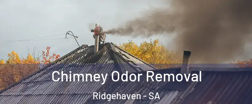 Chimney Odor Removal Ridgehaven - SA