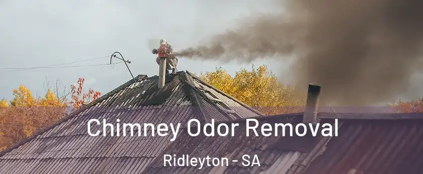 Chimney Odor Removal Ridleyton - SA