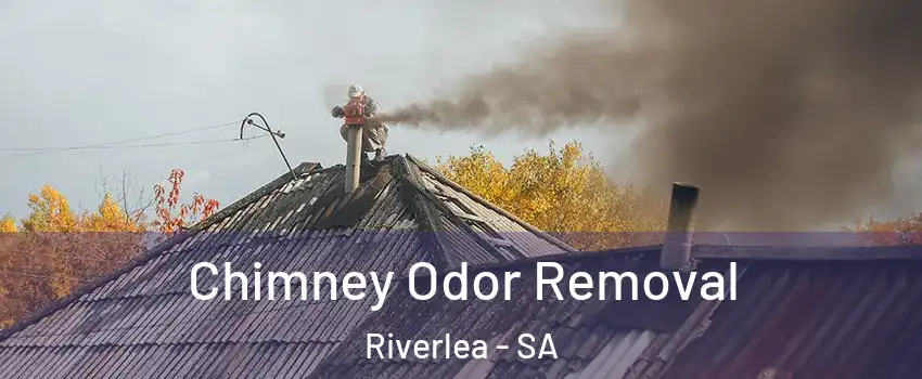 Chimney Odor Removal Riverlea - SA