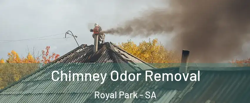 Chimney Odor Removal Royal Park - SA