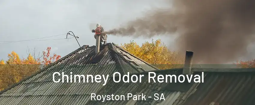 Chimney Odor Removal Royston Park - SA