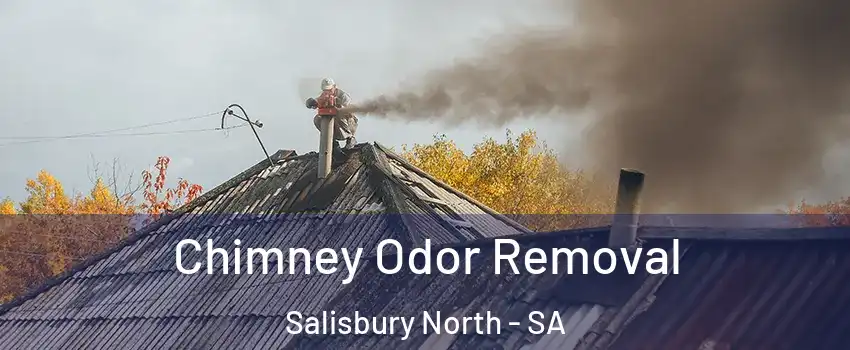 Chimney Odor Removal Salisbury North - SA