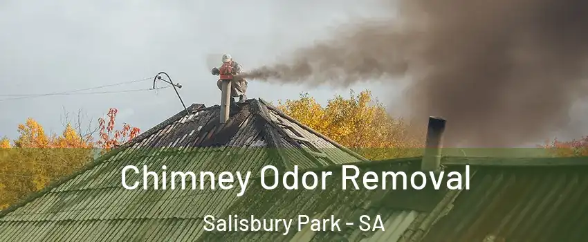 Chimney Odor Removal Salisbury Park - SA