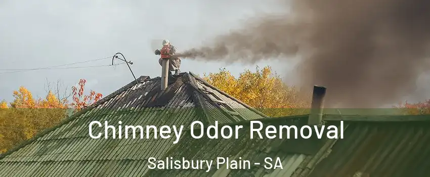 Chimney Odor Removal Salisbury Plain - SA