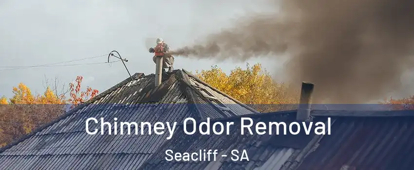 Chimney Odor Removal Seacliff - SA