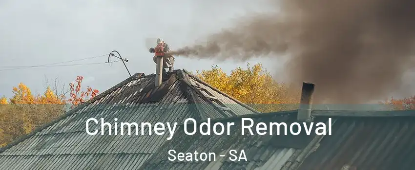 Chimney Odor Removal Seaton - SA