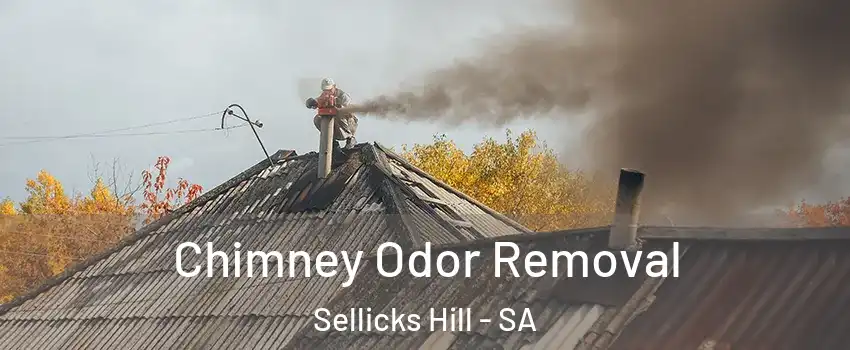 Chimney Odor Removal Sellicks Hill - SA