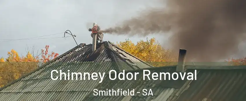 Chimney Odor Removal Smithfield - SA