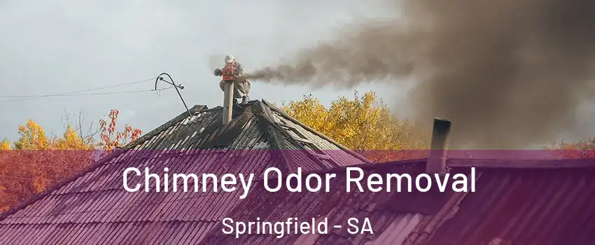 Chimney Odor Removal Springfield - SA