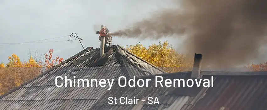 Chimney Odor Removal St Clair - SA