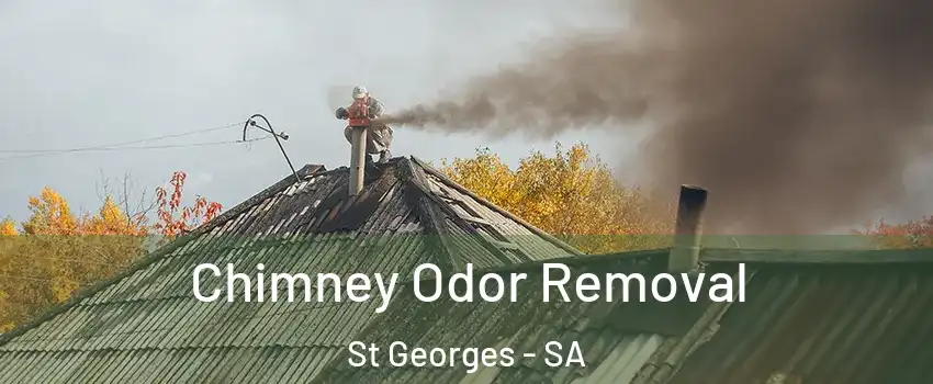Chimney Odor Removal St Georges - SA