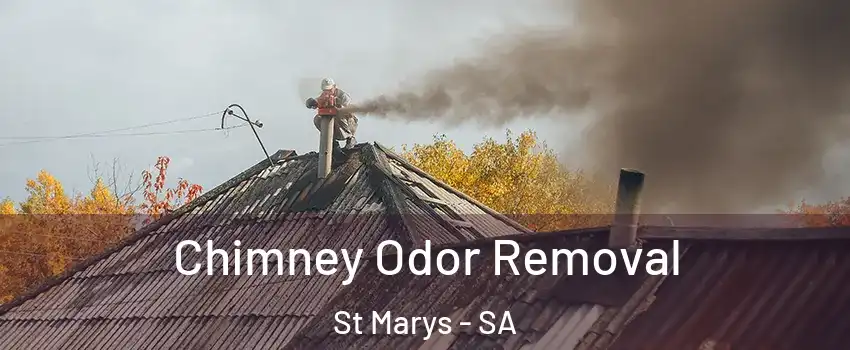 Chimney Odor Removal St Marys - SA