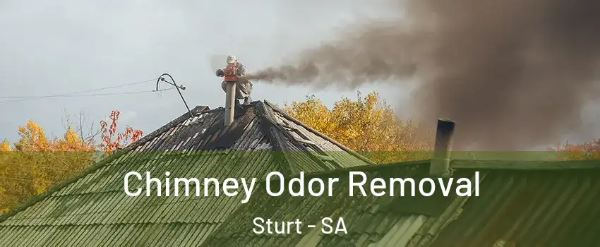 Chimney Odor Removal Sturt - SA