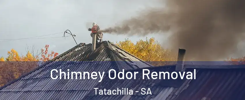 Chimney Odor Removal Tatachilla - SA
