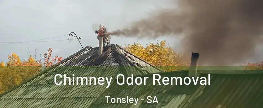 Chimney Odor Removal Tonsley - SA
