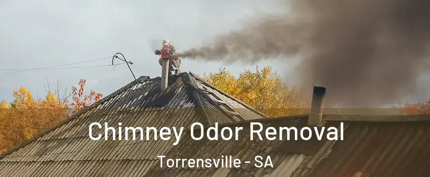 Chimney Odor Removal Torrensville - SA
