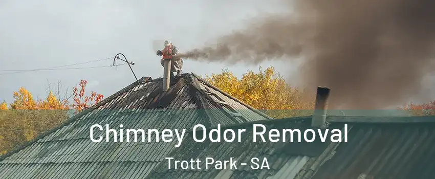 Chimney Odor Removal Trott Park - SA