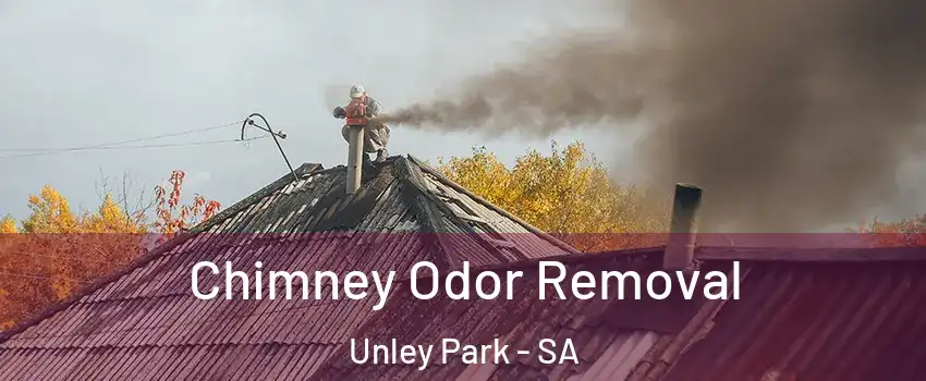 Chimney Odor Removal Unley Park - SA