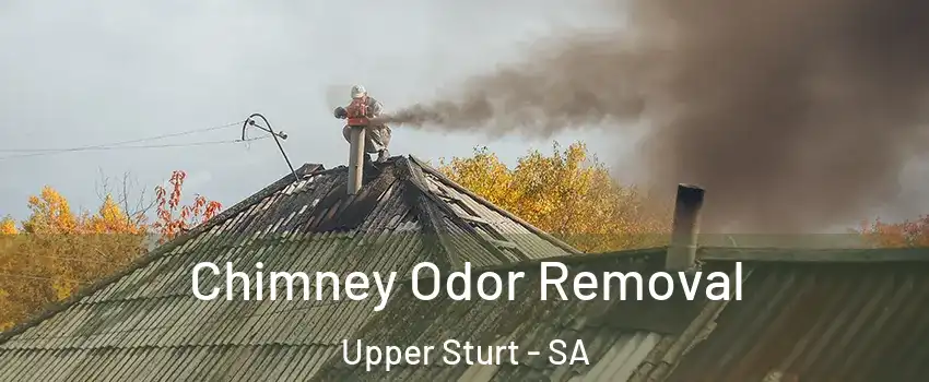 Chimney Odor Removal Upper Sturt - SA