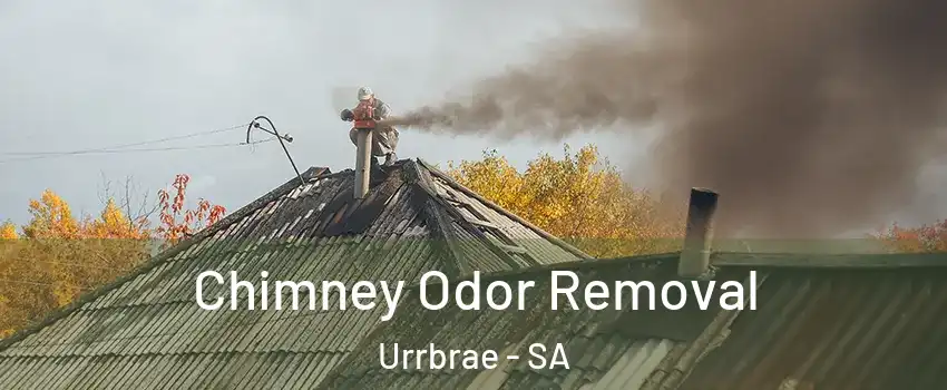 Chimney Odor Removal Urrbrae - SA